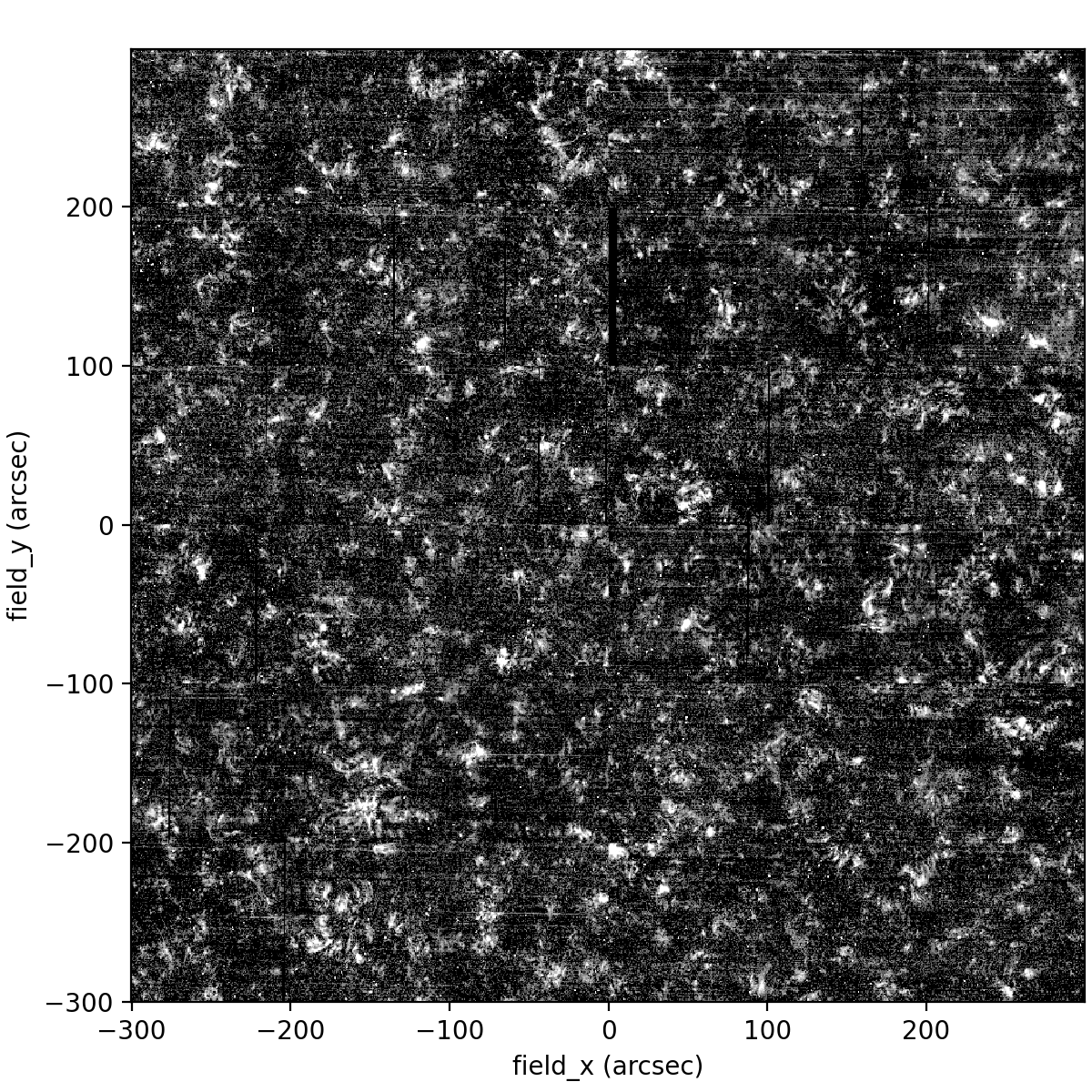 A black and white photo of a forest Description automatically generated with low confidence