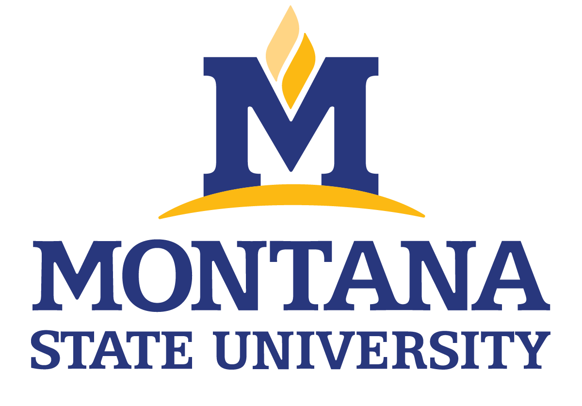 A blue and yellow logo with a yellow flame AI-generated content may be incorrect.